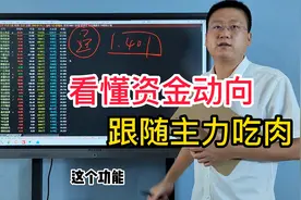 如何判断主力资金动向? 手把手教你，看懂跟随主力吃肉！视频封面
