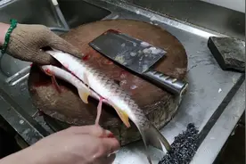 新来水台师傅要6000工资，老板让他一分钟杀完一条鱼，行就留下视频封面