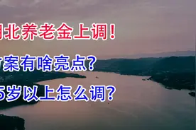 2021年湖北养老金上调！方案有啥新亮点？65岁以上怎么调？视频封面