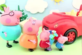 经典儿歌：鲁冰花视频封面