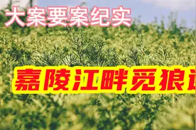 大案要案纪实嘉陵江畔觅狼迹视频封面