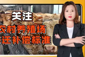 燕晓静律师：农村养殖场拆迁怎么补偿，养殖场是违建吗？视频封面