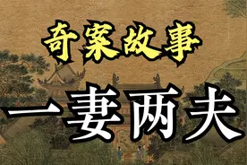 奇案故事：一妻两夫视频封面