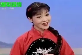 戏曲名家田敏演唱豫剧《小二黑结婚》清凌凌的水蓝莹莹的天视频封面