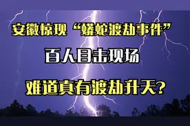 安徽惊现“蟒蛇渡劫事件”，百人目击现场，难道真有渡劫升天？视频封面