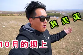 从北京自驾5小时到张家口，10月的坝上草原风景，是这样的