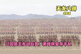 辽国楚王发动兵变，萧峰帮皇帝平乱，坐上辽国南院大王之位视频封面