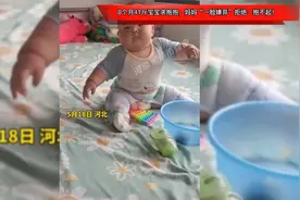 8个月41斤宝宝求抱抱，妈妈“一脸嫌弃”拒绝：抱不起！视频封面
