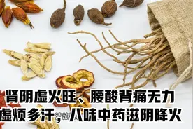 肾阴虚火旺、腰酸背痛无力、虚烦多汗，八味中药滋阴降火视频封面