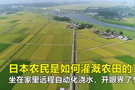 日本农民是如何灌溉农田的？坐在家里远程自动化浇水，开眼界了！视频封面