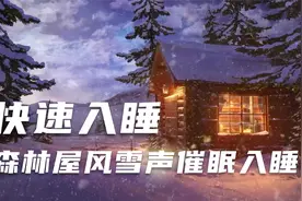 快速入睡，森林屋风雪声催眠入睡，助眠12小时深度睡眠视频封面