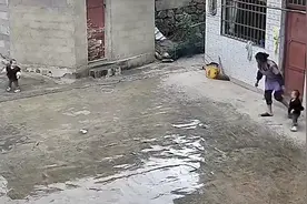 雨天奶奶照看双胞胎孙女忙坏了：一个往雨里冲，一个往后面跑视频封面