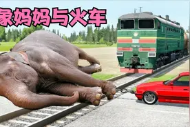 年老体迈的象妈妈病倒在火车轨道上，火车飞驰而来，小象不忍离开视频封面