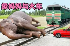 年老体迈的象妈妈病倒在火车轨道上，火车飞驰而来，小象不忍离开视频封面
