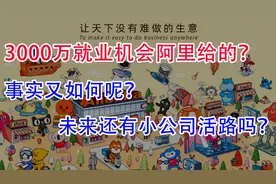 阿里：我们创造了3000万的就业岗位！事实真是如此吗？财富剥夺！视频封面