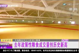 中储粮发布2018年统计数据，去年政策性粮食成交量创历史新高视频封面