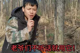 刺老芽浑身都是宝，嫩芽能炒鸡蛋吃，长满刺的杆专治老爷们不听话视频封面