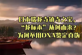 日本瑞龙寺镇寺之宝，“龙标本”从何而来？为何不用DNA鉴定真伪视频封面