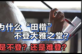 为什么“田楷”不登大雅之堂？是不想登还是难登？评论区里等你！视频封面