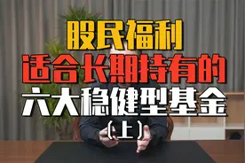 股民福利，适合长期持有的六大优质基金（建议收藏）上视频封面