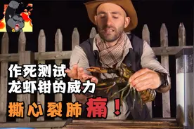 波斯顿龙虾钳威力有多大？小伙亲测：龙虾泡冷水之后威力更大！视频封面
