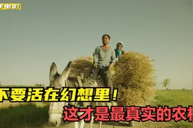 深度解析《隐入尘烟》，国产电影再度封神！看哭中国9亿农民视频封面