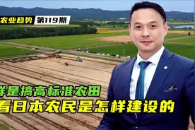 同样是搞高标准农田，看看日本农民是怎样建设的？视频封面