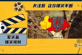 你看这萝卜长的像人不？视频封面