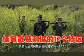缅北武装割据的12个“特区”视频封面