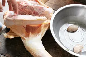 老妈杀五爪鸡给媳妇补补身子，鸡子一般只有四爪，五爪鸡是咋回事视频封面
