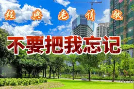 经典老情歌-《不要把我忘记》视频封面