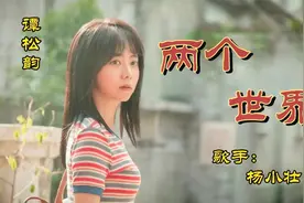 杨小壮催泪音乐《两个世界》，独特的嗓音，有多少人能听懂这首歌视频封面