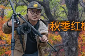 【雷雨】驱车三千公里寻找中国最美秋色，摄影师现场讲解拍摄要领视频封面