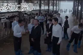《县委大院》推论梅晓歌的年龄多大，并探究其岳父的背景视频封面