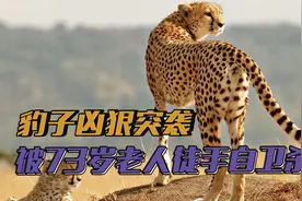 为了保命，73岁老人徒手杀死豹子，用了什么狠招？视频封面