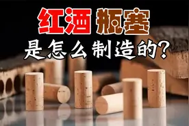 原来红酒瓶塞是这样制造的，和我想的完全不一样，长见识了！视频封面