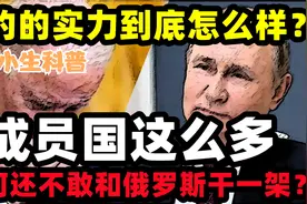 北约的实力到底如何？成员国这么多，为何还不敢和俄罗斯干一架？视频封面
