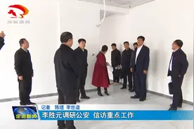 县长李胜元调研公安 信访重点工作视频封面