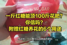 一斤红糖能顶100斤花肥？你信吗？附赠红糖养花的6个用途视频封面
