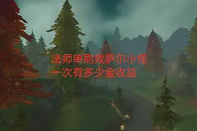 魔兽世界怀旧服：法师单刷救萨尔小怪，一次有多少金收益视频封面