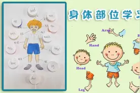 #手工制作大赛#身体部位学习图，教宝宝更清楚的认识身体器官视频封面