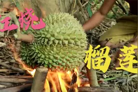 泰国小哥上树摘榴莲，用火烤熟，榴莲味道会更香还是更臭？视频封面