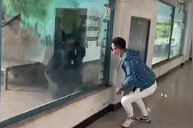 男子动物园与大猩猩互动逗笑众人 网友：这是遇到兄弟了吧视频封面