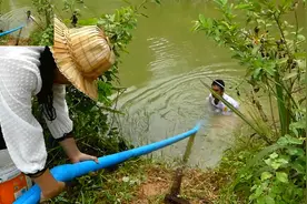 抽水不用电，农民大哥用几根水管把河水引到自家农田里视频封面