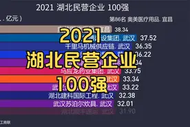 2021湖北民营企业100强 排名, 武汉65宜昌7襄阳5黄冈5荆门4黄石3视频封面