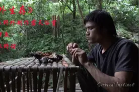 教你在热带雨林怎么捕捉美食视频封面