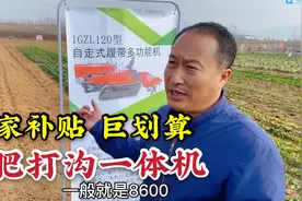新型自走式履带施肥打钩一体机，果园大棚好帮手，补贴8600真划算视频封面