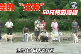 50只狗狗的“妈妈”，却找不到狗爸，主人帮忙寻找却失望了视频封面