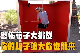 恐怖箱挑战，蒙着眼睛摸出东西最多的人，奖励拖拉机一台视频封面