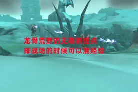魔兽世界怀旧服：龙骨荒野的无限刷怪点，排战场的时候可以混经验视频封面